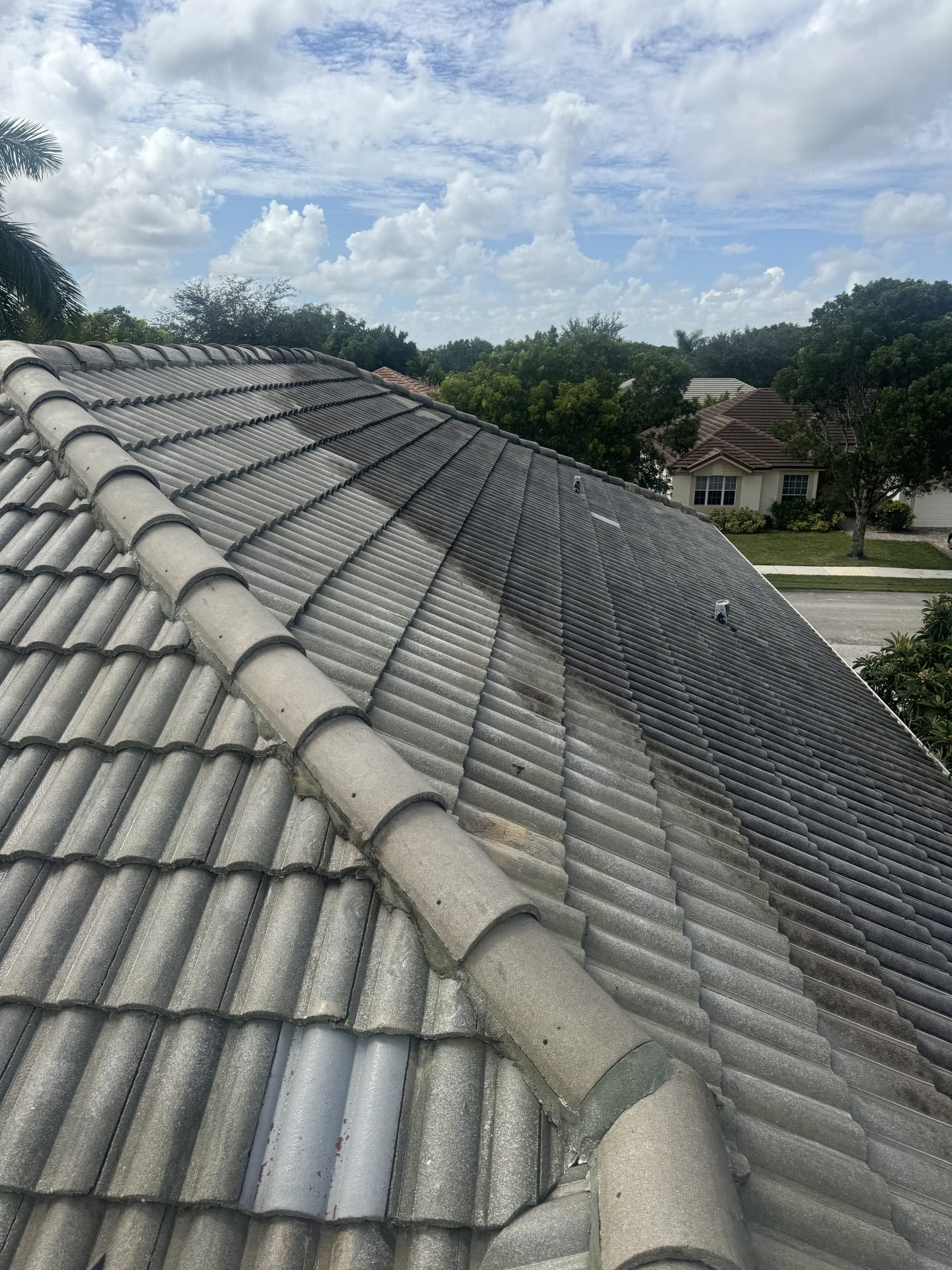 Dramatic tile roof before-and-after from soft washing