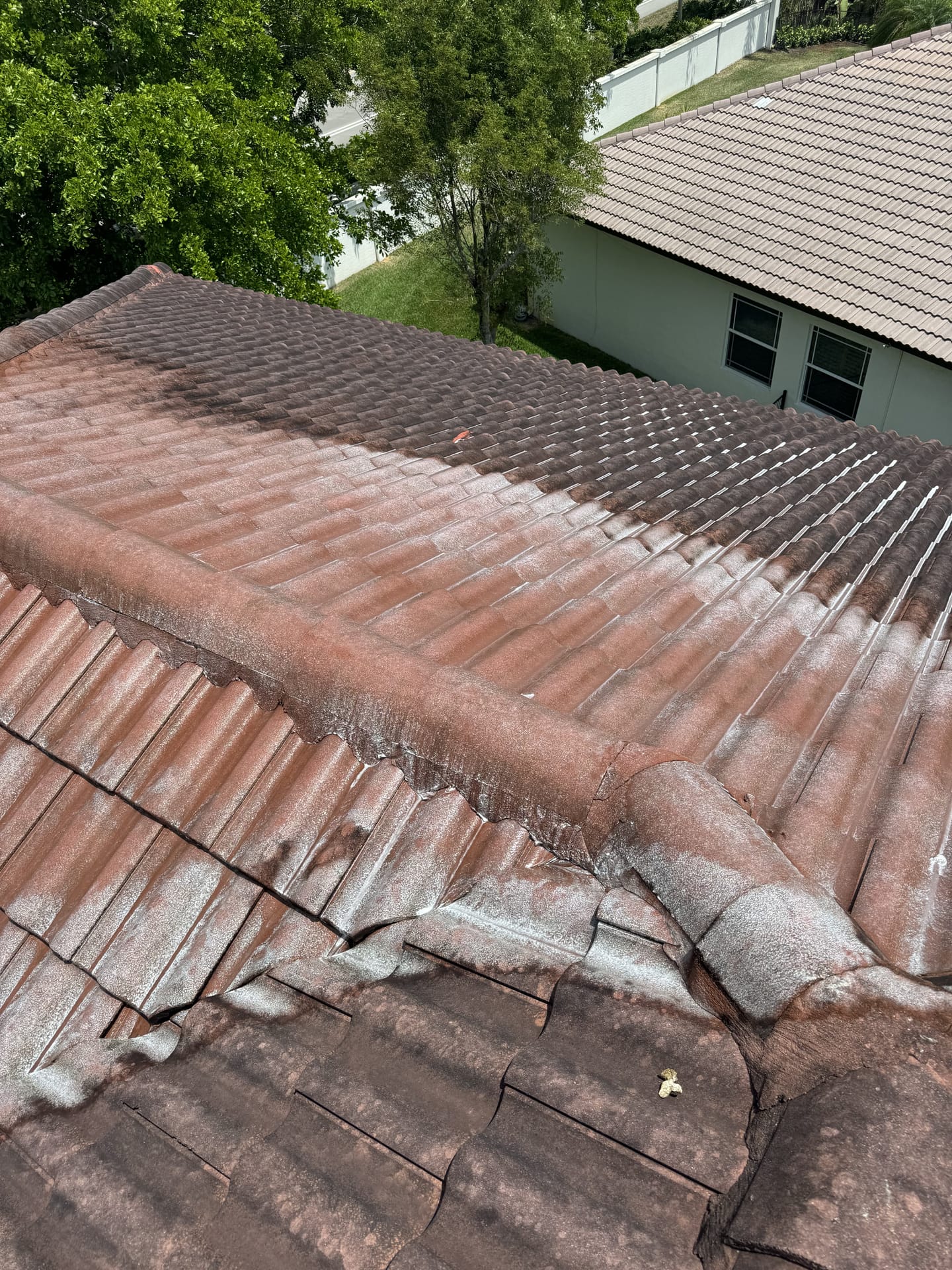 Close-up of a tile roof half restored by soft washing